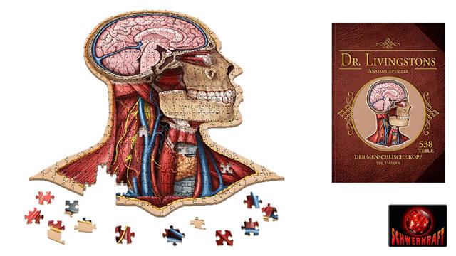 Dr. Livingstons Anatomiepuzzle Der menschliche Kopf - zum Schließ en ins Bild klicken