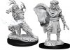 Male Human Druid D&D Nolzurs Marvelous Miniatures (MOQ2)