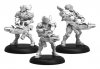 Paladin Annihilators – Warcaster Iron Star Alliance Squad (met