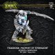 Legion Warlock Thagrosh, Prophet of Everblight (plastic)