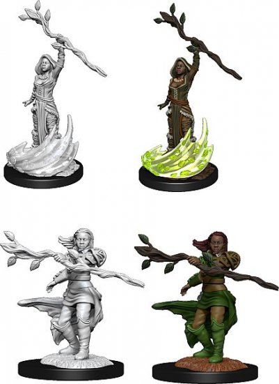 D&D Nolzurs Marvelous Miniatures W14 Human Druid Female (MOQ2) - zum Schließ en ins Bild klicken