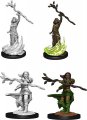 D&D Nolzurs Marvelous Miniatures W14 Human Druid Female (MOQ2)