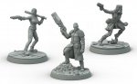 Fallout Wasteland Warfare Survivors Boston Companions