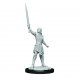 Critical Role Miniatures: W1 Human Dwendalian Empire Fighter Fem