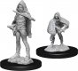 D&D Nolzurs Marvelous Miniatures W13 Darkling Elder & Darklings