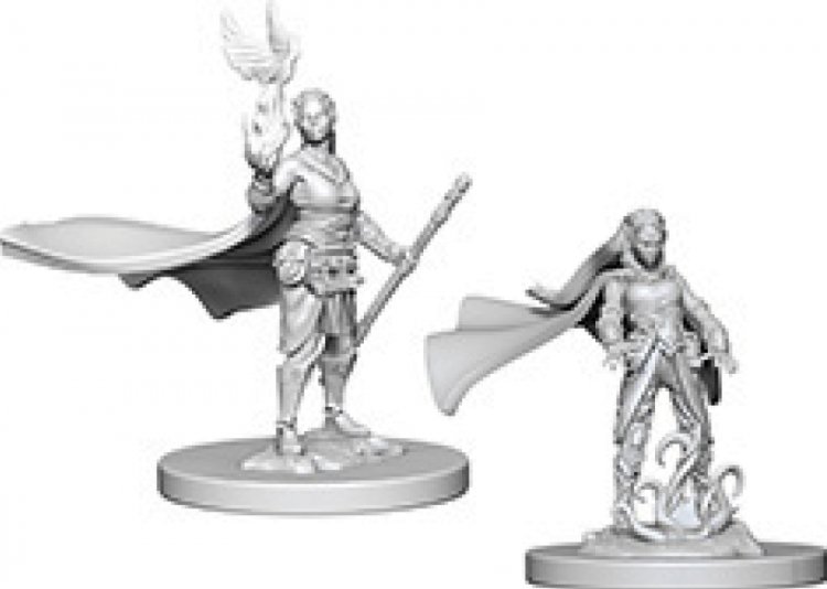 Elf Female Druid D&D Nolzurs Marvelous Miniatures (MOQ2) - zum Schließ en ins Bild klicken