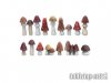 Mushrooms - Set 1 (16)