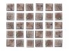 Lizard City 25x25mm DEAL