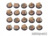 Lizard City Bases - 25mm DEAL (20)