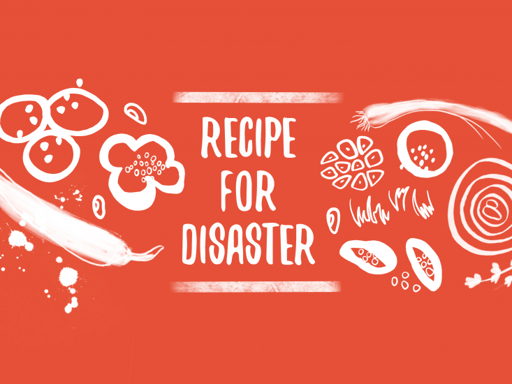Recipe for Disaster - zum Schließ en ins Bild klicken