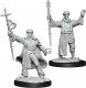 D&D Nolzurs Marvelous Miniatures W13 Human Wizard Male (MOQ2)