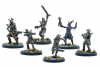 Fallout Miniatures Cult of the Mothman Clergy