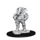 Magic the Gathering Miniatures W15 Qunitorius, Field Historian (