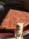 Acrylic 20s Holder (2) for Crokinole