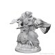 Human Male Wizard D&D Nolzur’s Marvelous Unpainted Miniatures