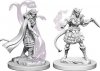 Tiefling Female Sorcerer D&D Nolzurs Marvelous Miniatures (MOQ2)