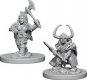 Dwarf Female Barbarian D&D Nolzurs Marvelous Miniatures (MOQ2)