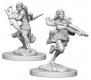 Air Genasi Female Rogue D&D Nolzurs Marvelous Miniatures (MOQ2)