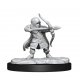 Critical Role Miniatures: W1 Lotusden Halfling Ranger Male (MOQ2