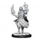 Critical Role Miniatures: W1 Hollow One Rogue and Sorceror Male