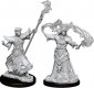 Pathfinder Deep Cuts Unpainted Miniatures W11 Male Human Sorcere