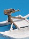 Ballista