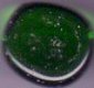 Crystal Dark Green Gaming Stones (40+ stones per tube) (MOQ2)