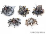 Riesenspinnen Set (5)