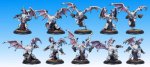 Legion of Everblight Blighted Nyss Grotesque Unit