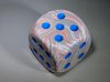 Festive 50mm D6 Pips Popart/blue