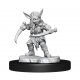 Critical Role Miniatures: W1 Goblin Sorceror and Rogue Female (M