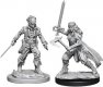 D&D Nolzurs Marvelous Miniatures W8 Vampire Hunters MOQ2