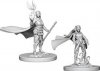 Elf Female Druid D&D Nolzurs Marvelous Miniatures (MOQ2)