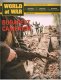 World at War 85 Budapest Campaign 1944-45