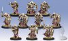 Protectorate Exemplar Errants Unit Box (plastic)